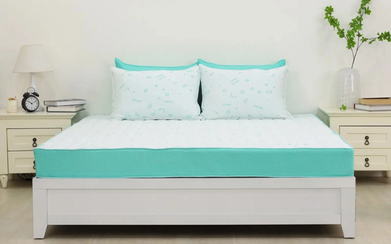 Top 7 mẫu nệm bông ép giá rẻ hỗ trợ trả góp cực tốt 4 Nệm bông ép Edena Foldena