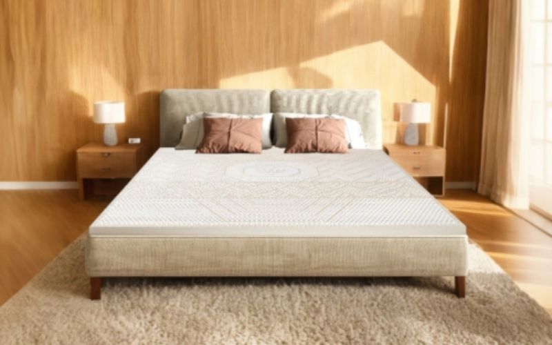 Nệm cao su Kim Cương Aloe Lux