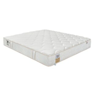 nem lo xo khang chay dunlopillo dream plush 2