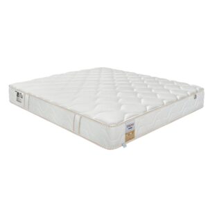 nem lo xo khang chay dunlopillo dream plush 3