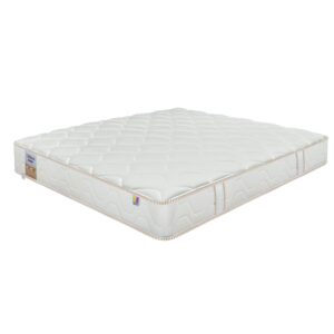 nem lo xo khang chay dunlopillo dream plush 4