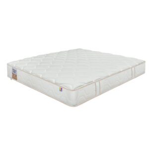 nem lo xo khang chay dunlopillo dream plush 5