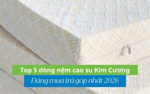 top 5 nệm cao su kim cương đáng mua trả góp nhất