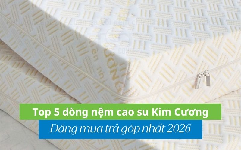 top 5 nệm cao su kim cương đáng mua trả góp nhất
