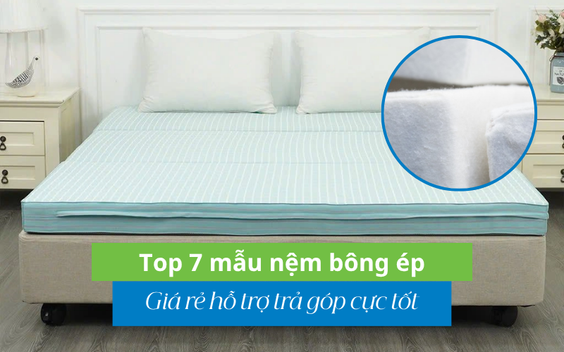 top 7 mẫu nệm bông ép giá rẻ hỗ trợ trả góp cưc tốt