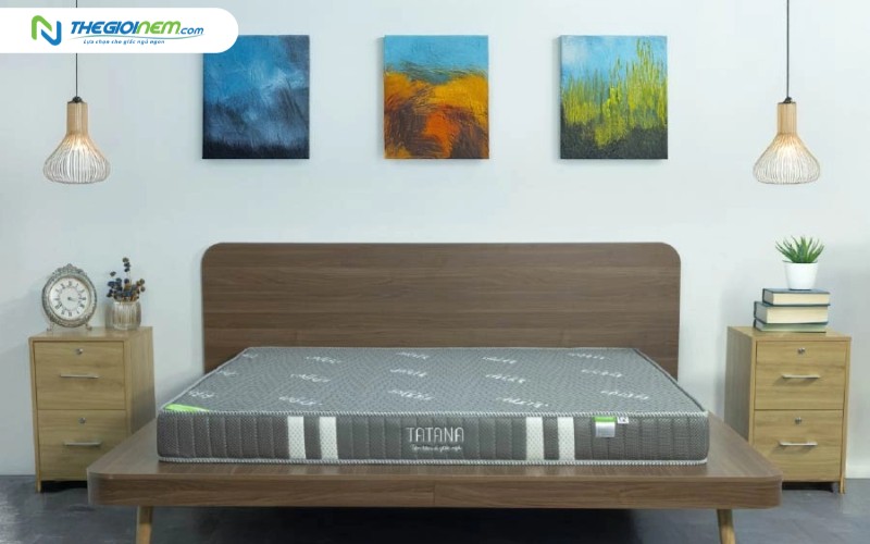 Gợi ý mẫu nệm giá rẻ trả góp