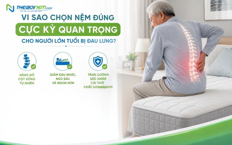 Tại sao chọn nệm cực kỳ quan trọng