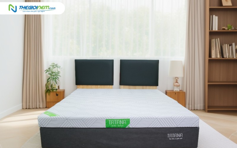 Nệm cao su bông TATANA