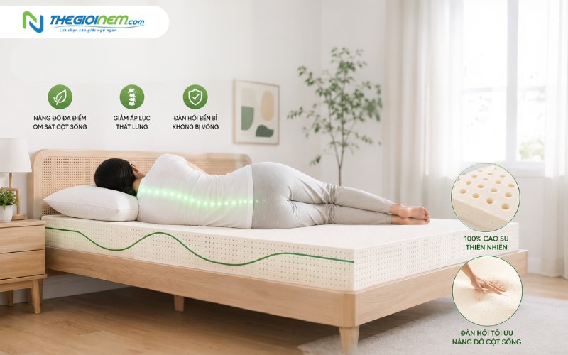 Người bị thoát vị đĩa đệm nên nằm nệm cứng hay nệm mềm? 4 Nệm cao su giúp nâng đỡ đa điểm