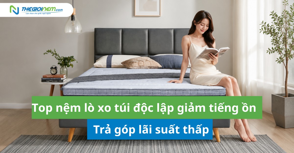 Top nệm lò xo túi độc lập giảm tiếng ồn